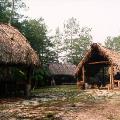 Indian camp, sleep chickee, cooking chickee, and eating chickee at.